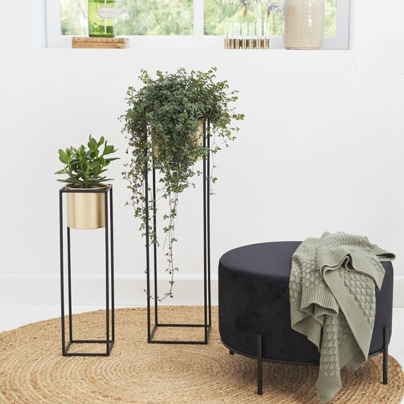 Planter - Violeta Gold 2/set