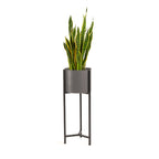 Planter - Delphine Black High