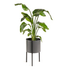Planter - Delphine Black Low