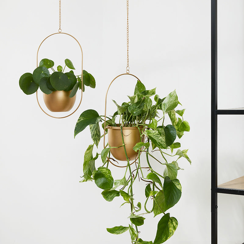 Plant hanger - Liv Gold 2/set