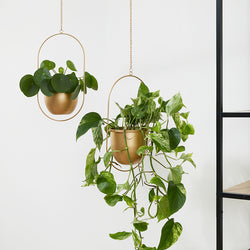 Plant hanger - Liv Gold 2/set