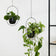 Plant hanger - Liv Black 2/set