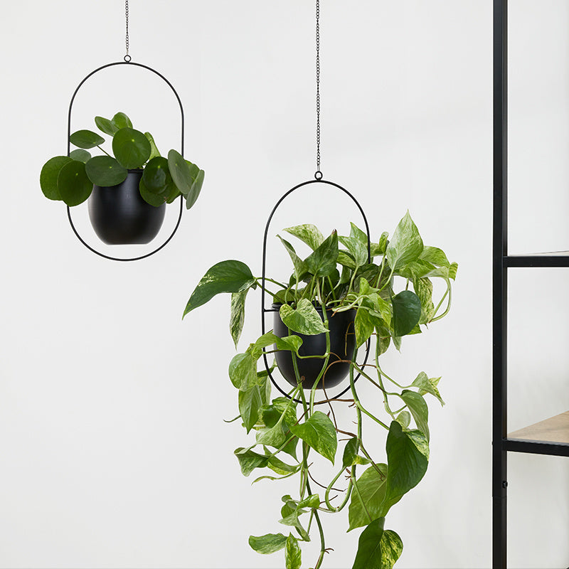 Plant hanger - Liv Black 2/set